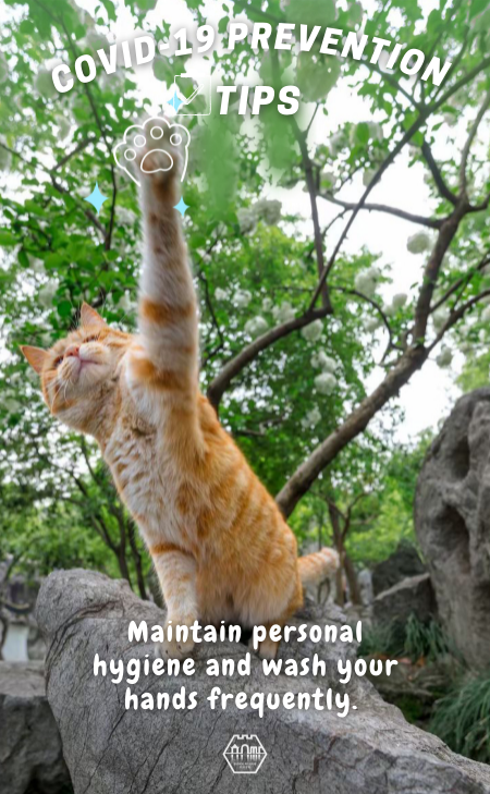Cats Talk: COVID-19 prevention tips