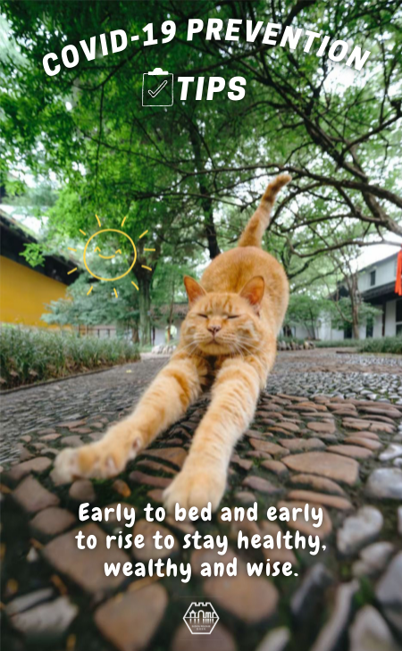 Cats Talk: COVID-19 prevention tips