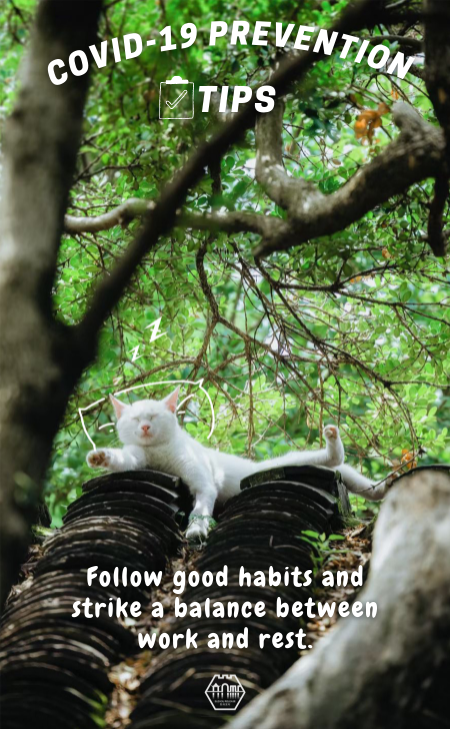 Cats Talk: COVID-19 prevention tips