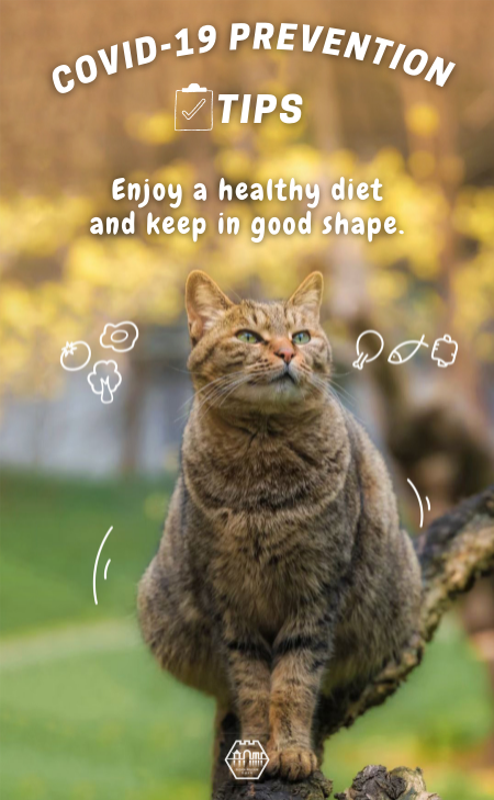 Cats Talk: COVID-19 prevention tips