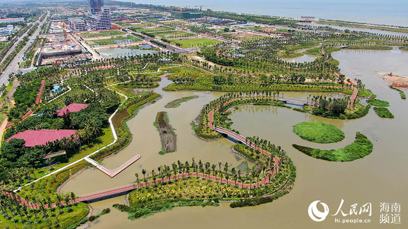 Fishponds transformed into wetland oases in S China's Hainan