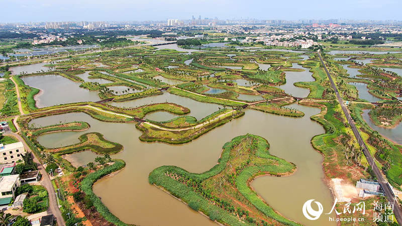 Fishponds transformed into wetland oases in S China's Hainan