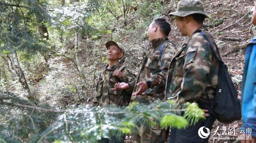 Father and son duo dedicated to protecting black snub-nosed monkeys in Yunnan