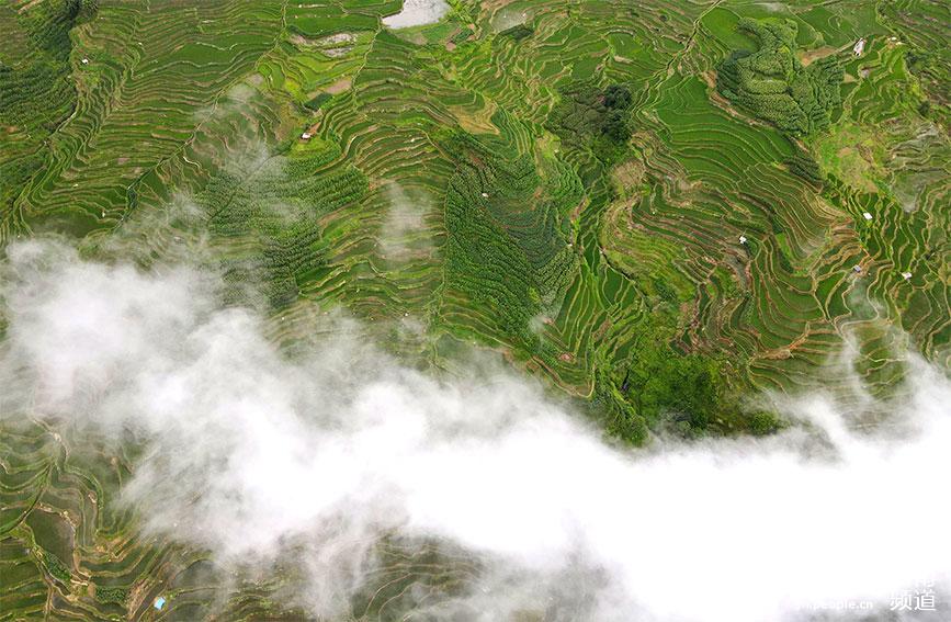 Honghe Hani Rice Terraces in SW China’s Yunnan: a masterpiece of the local people