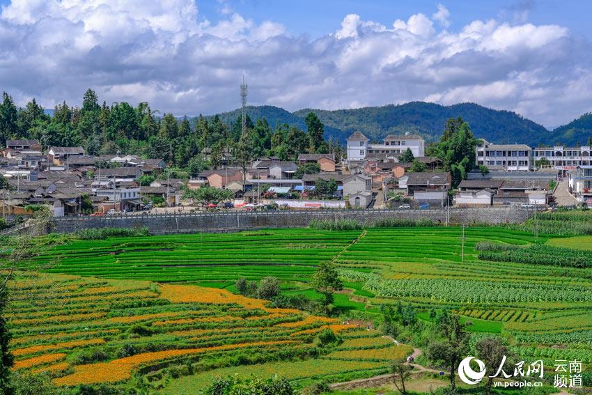 Village in SW China’s Yunnan embraces prosperity through agricultural tourism