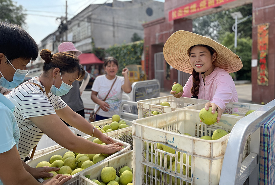 Young e-commerce entrepreneurs in E China’s Anhui province help local fruit growers sell products