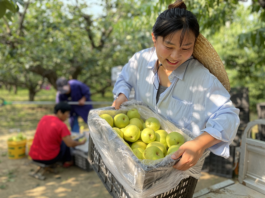 Young e-commerce entrepreneurs in E China’s Anhui province help local fruit growers sell products