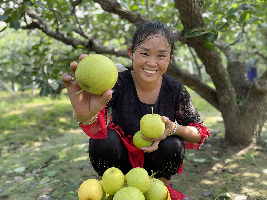 Young e-commerce entrepreneurs in E China’s Anhui province help local fruit growers sell products