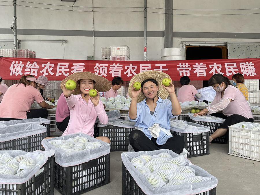 Young e-commerce entrepreneurs in E China’s Anhui province help local fruit growers sell products