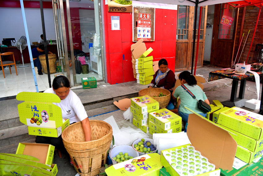 Small fruits drive growth of agricultural industry in Wenchuan, SW China