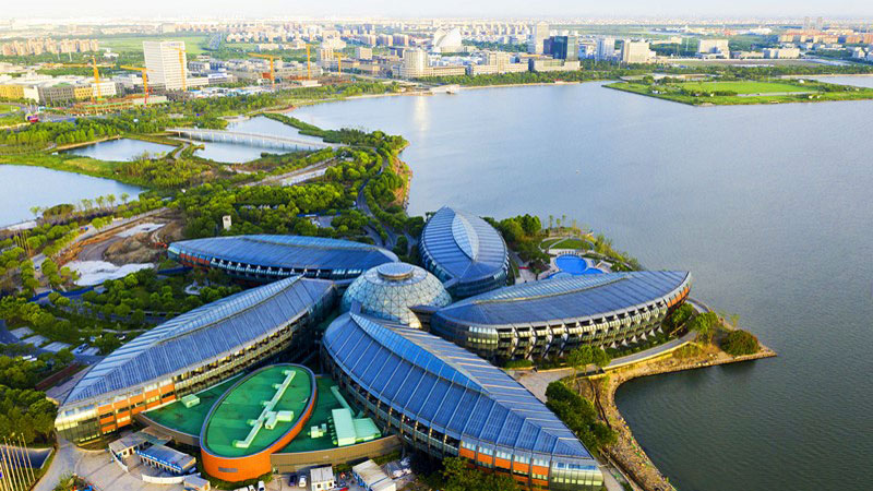 Shanghai's Lin-gang Special Area welcomes over 40,000 enterprises in past two years