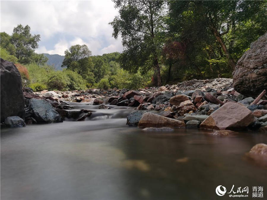 Qinghai's Qunjia National Forest Park: land of idyllic beauty