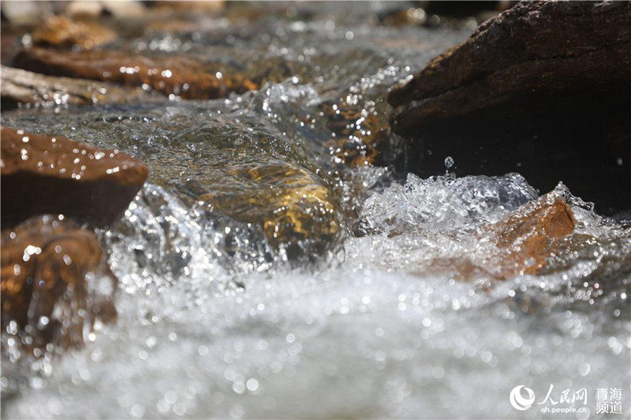 Photo shows a trickling stream at the Qunjia National Forest Park in Huangzhong district, Xining city, northwest China’s Qinghai province. (People’s Daily Online/Zhang Haopeng)