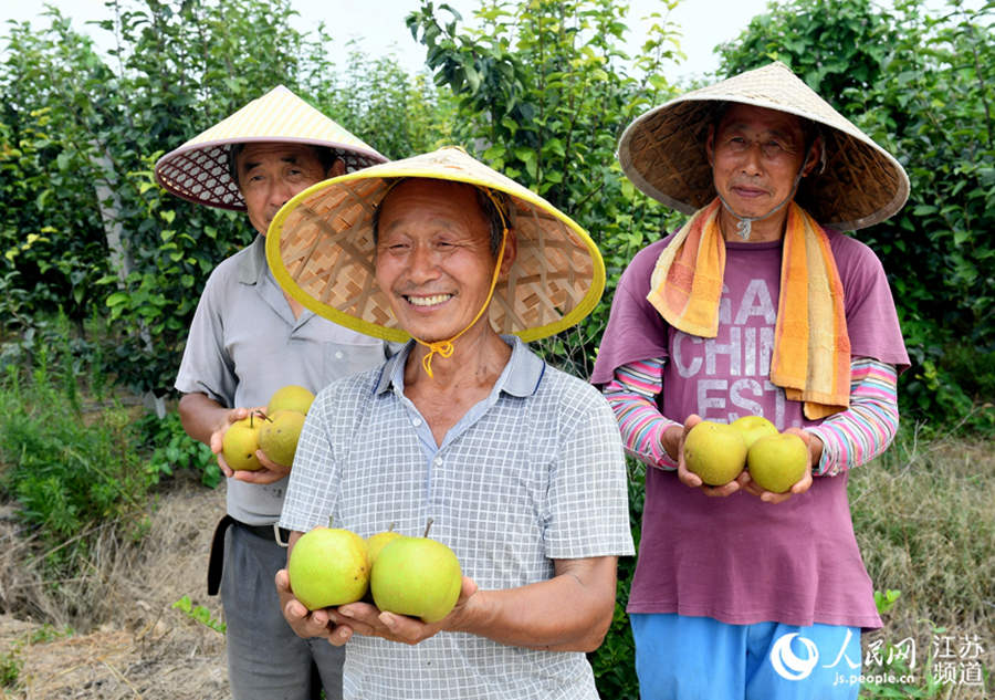 China's Jiangsu reaps a bumper autumn harvest 