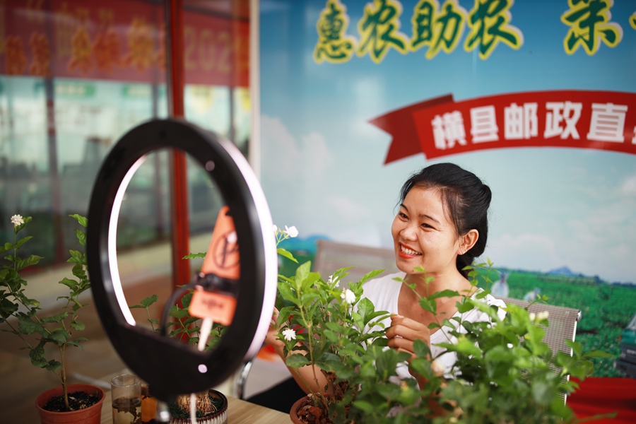 Jasmine industry brings prosperity to villages in Guangxi’s Hengzhou