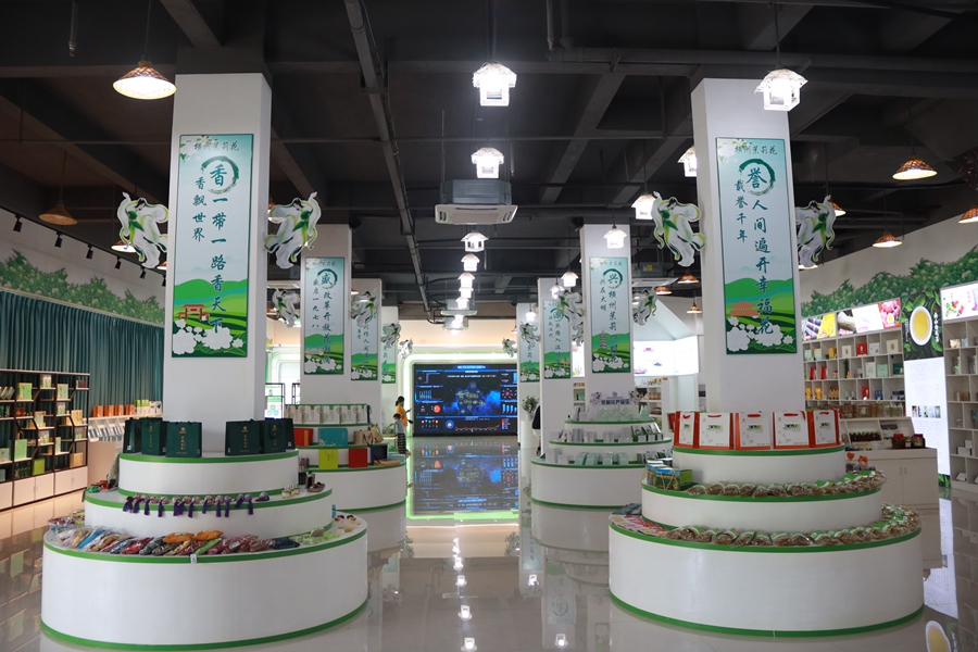 Jasmine industry brings prosperity to villages in Guangxi’s Hengzhou