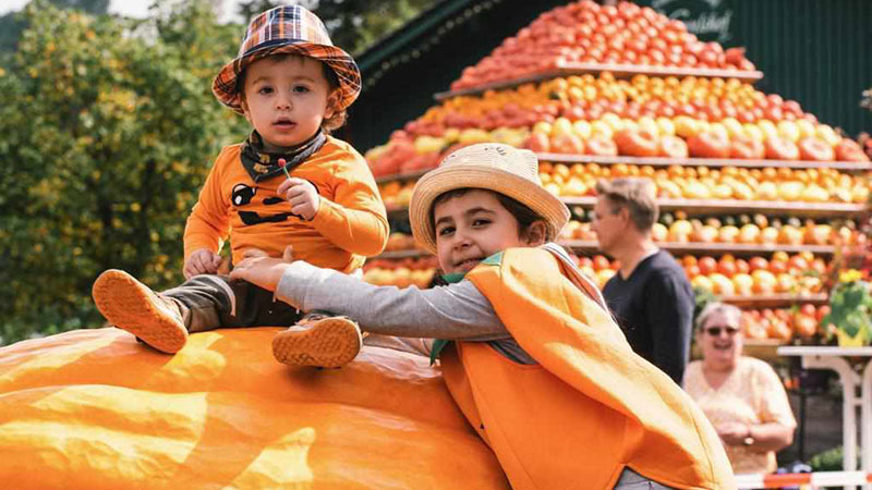 Traditional pumpkin festival held in Lohmar, Germany