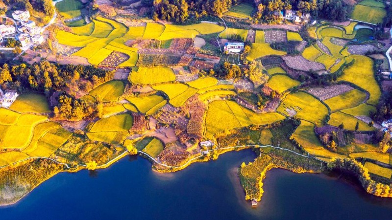 In pics: paddy fields in Guizhou