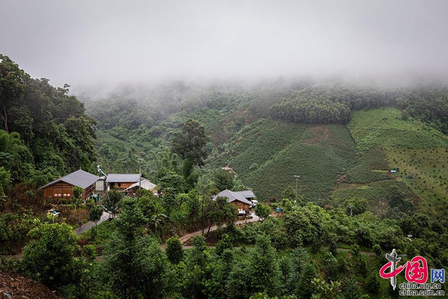 Village in SW China’s Yunnan thrives on bird-watching tourism
