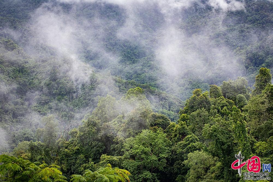 Village in SW China’s Yunnan thrives on bird-watching tourism