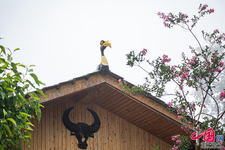 Village in SW China’s Yunnan thrives on bird-watching tourism