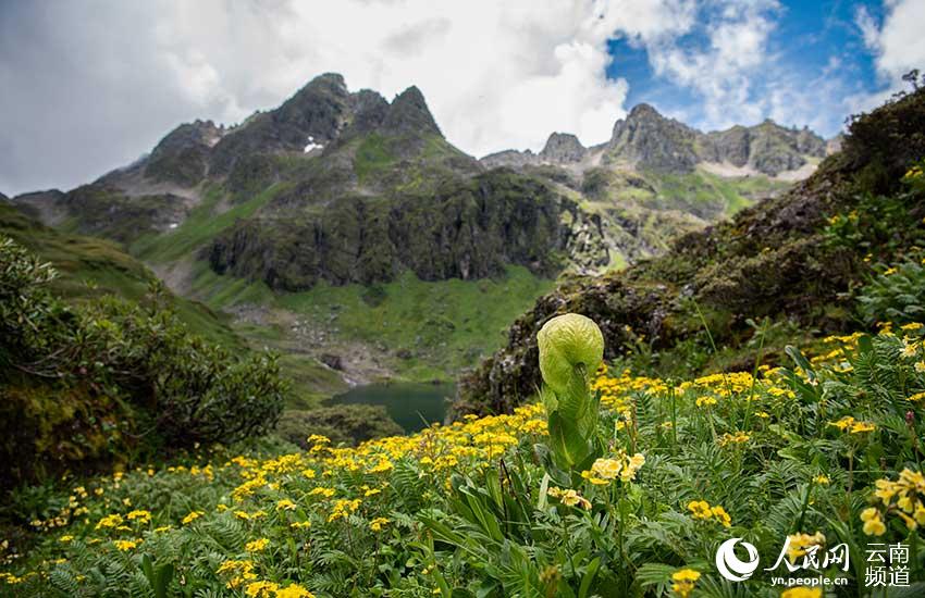 Explore wonderland created by an alpine lake cluster in SW China's Yunnan