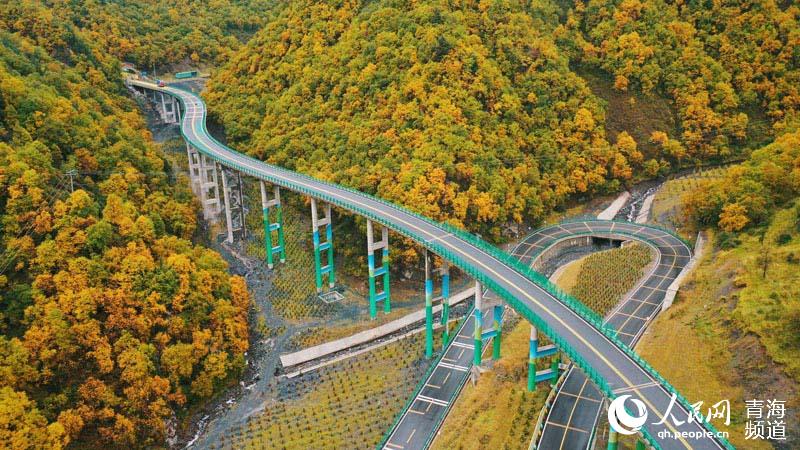 In pics: breathtaking autumn scenery along most beautiful road in NW China’s Qinghai