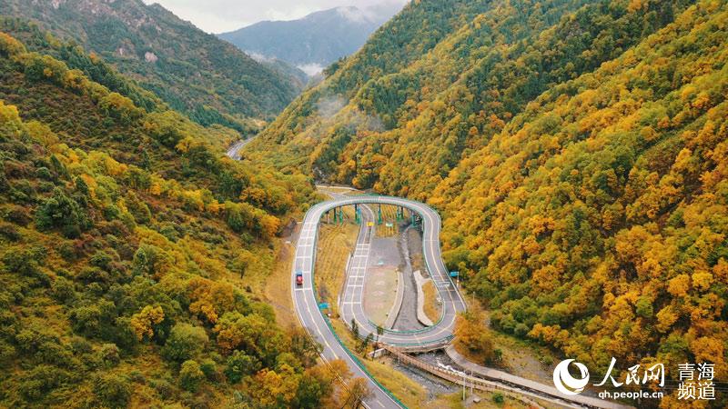 In pics: breathtaking autumn scenery along most beautiful road in NW China’s Qinghai