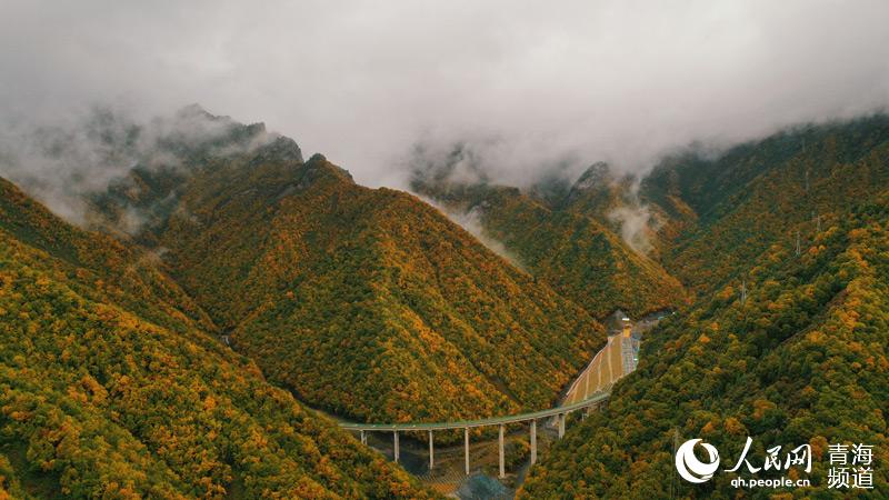 In pics: breathtaking autumn scenery along most beautiful road in NW China’s Qinghai