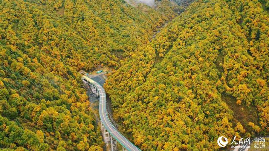 In pics: breathtaking autumn scenery along most beautiful road in NW China’s Qinghai