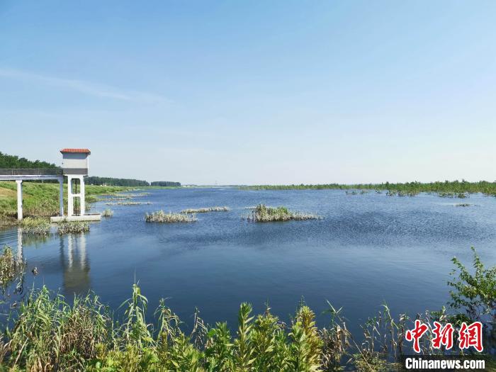 Cental China's Dongting Lake makes great strides in improving ecological environment