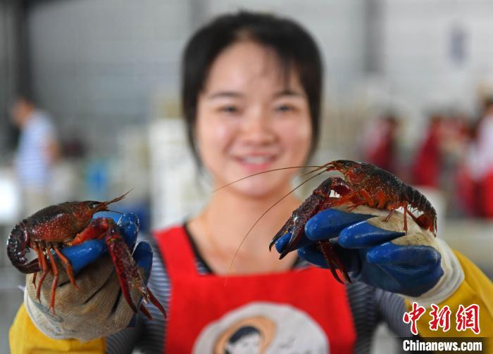 Cental China's Dongting Lake makes great strides in improving ecological environment