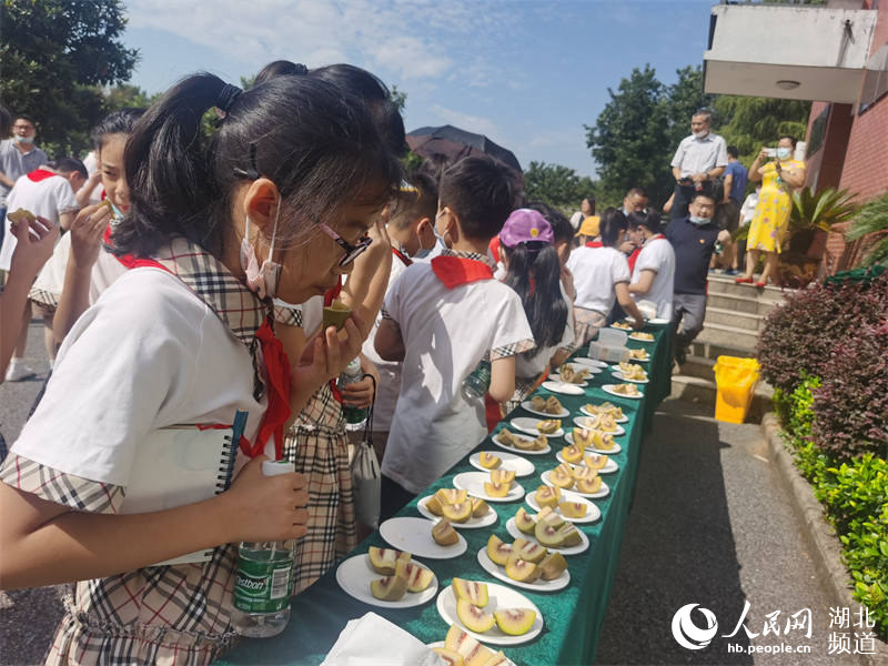 Wuhan Botanical Garden holds open day event showcasing large variety of kiwifruit