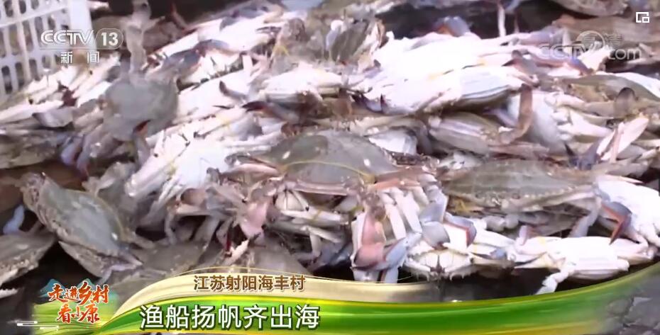 Village in E China's Jiangsu kicks off fishing season