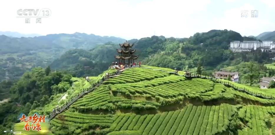 Mountain village in central China becomes a scenic spot focusing on tea culture