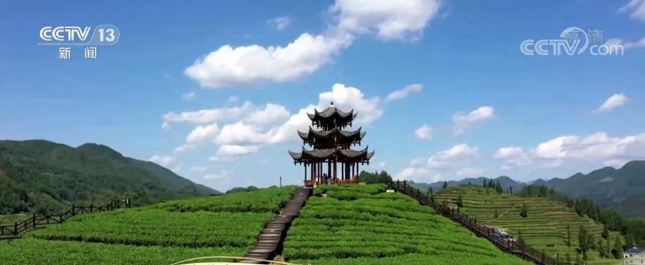 Mountain village in central China becomes a scenic spot focusing on tea culture