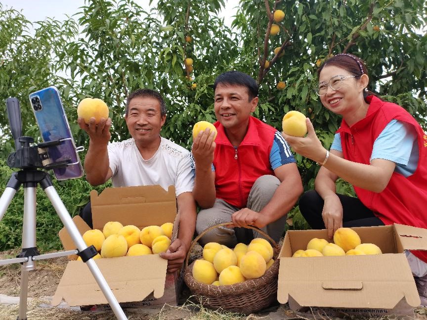 Cadres dispatched to Gudao village, Shawan, Xinjiang Uygur autonomous region, joins a livestream marketing activity with local farmers, Sept. 1, 2021. (People's Daily Online/Lan Ling)