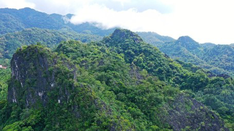 Gross ecosystem product of tropical rainforest national park in Hainan exceeds 204.5 billion yuan