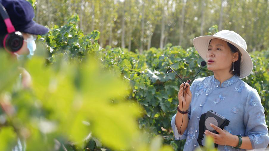 Beijing girl brews prosperous wine enterprise in Xinjiang