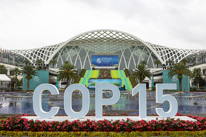 Photo taken on Oct. 10, 2021 shows the exterior of the Dianchi International Convention and Exhibition Center, the main venue for the 15th meeting of the Conference of the Parties to the UN Convention on Biological Diversity (COP15), in Kunming, capital city of southwest China’s Yunnan province. (People’s Daily Online/Weng Qiyu)