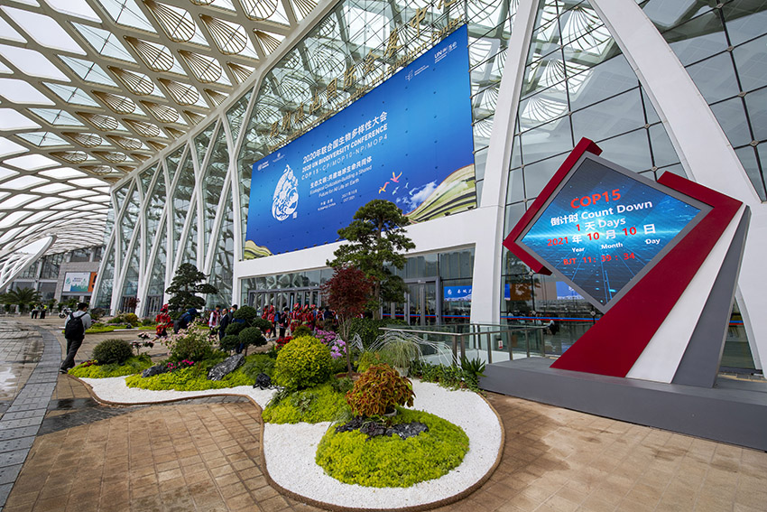 In pics: Kunming ready to welcome guests for biodiversity conservation meeting