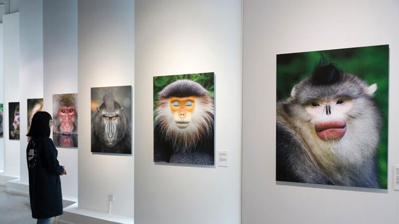 'Born to Be Wild' photography exhibition opens in Kunming