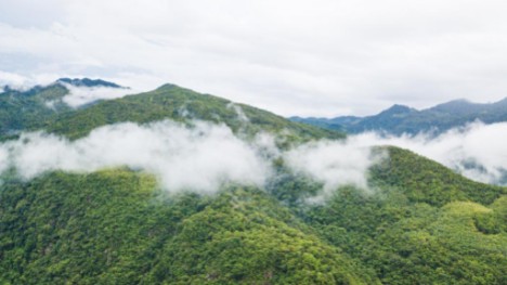 View of Hainan Tropical Rainforest National Park