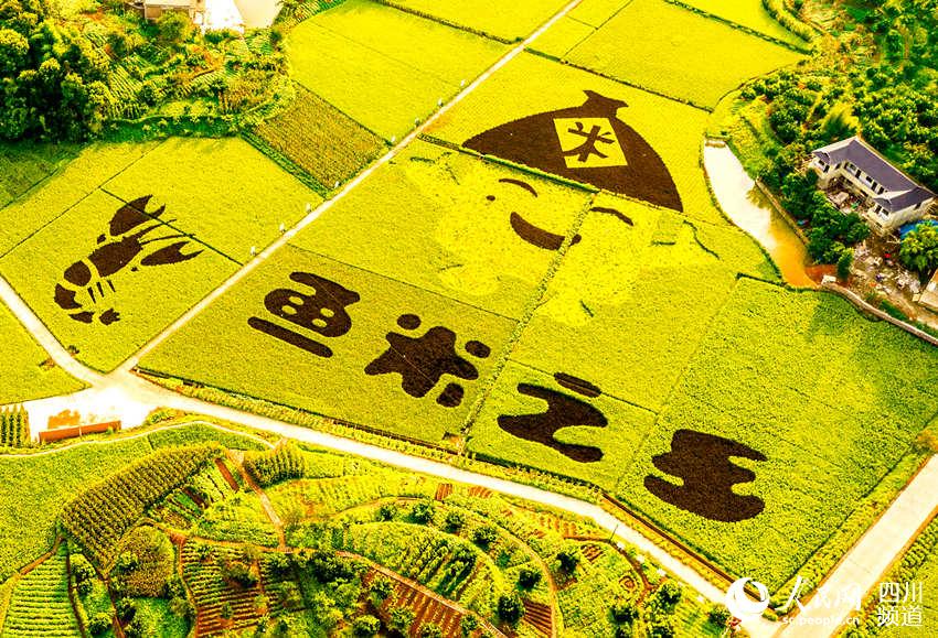 SW China's Luzhou sees bumper rice harvest