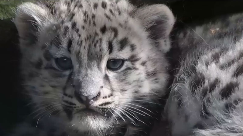 A tour to Sanjiangyuan National Park in NW China