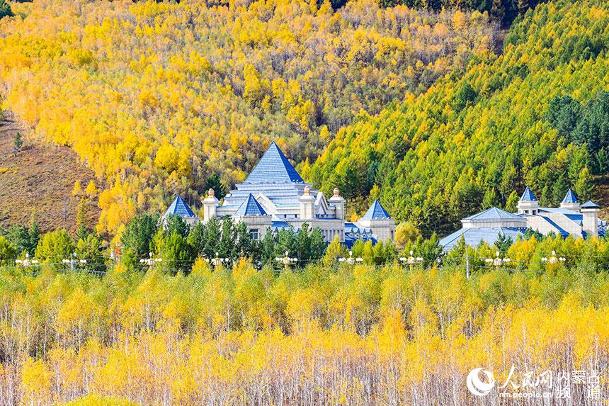 Dreamlike autumn scenery in Arxan, N China’s Inner Mongolia