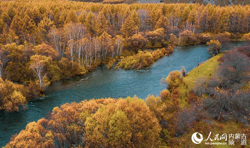 Dreamlike autumn scenery in Arxan, N China’s Inner Mongolia