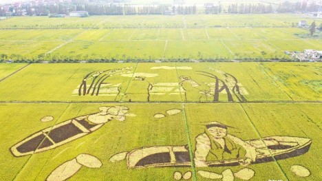 Golden paddy field paintings show harvest scenes in Hangzhou