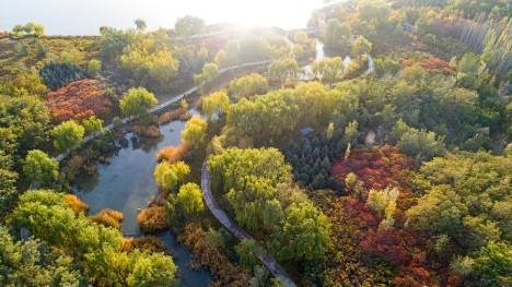 Autumn scenery of Lushuiwan scenic area in NW China's Zhangye