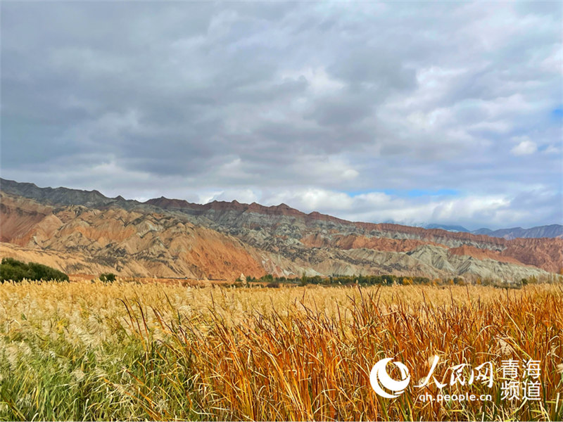 In pics: picturesque autumn scenery along Yellow River in NW China’s Qinghai